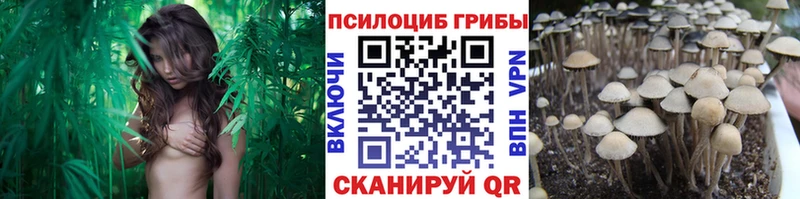 Псилоцибиновые грибы ЛСД  цена   Топки 